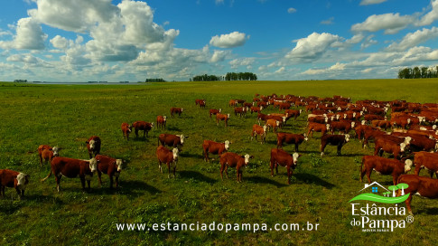 DOS EÓLICOS VIRA P FAZENDA_Moment.00_02_12_13.Quadro187_9ebabd8072dfbe0326c43ac59a18d622d530f694.jpg